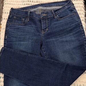 Classic Indigo Skinny Jeans for Women